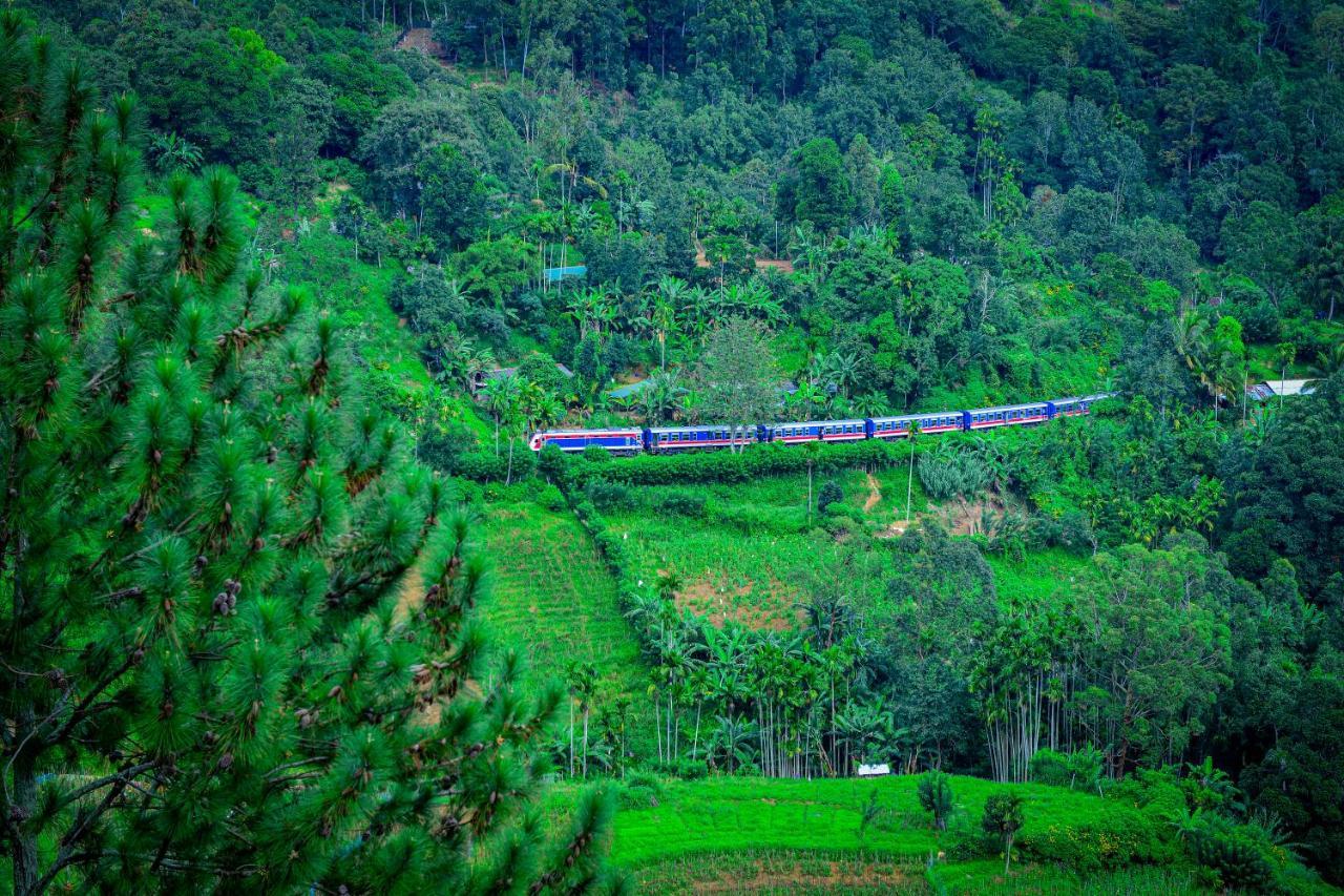 Astral Zone Cottage Ella Luaran gambar