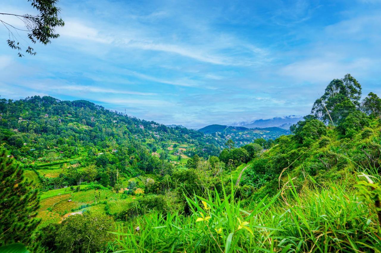 Astral Zone Cottage Ella Luaran gambar