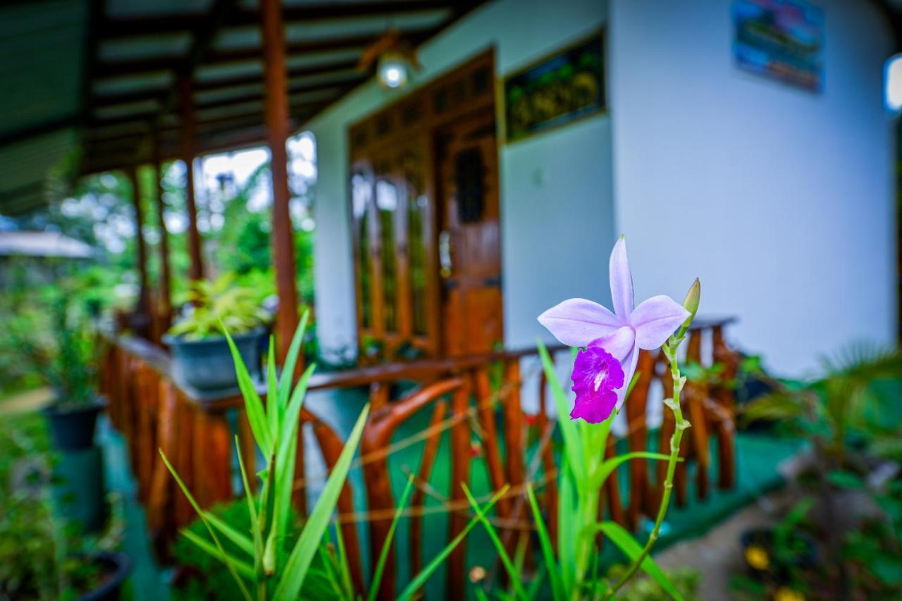 Astral Zone Cottage Ella Luaran gambar